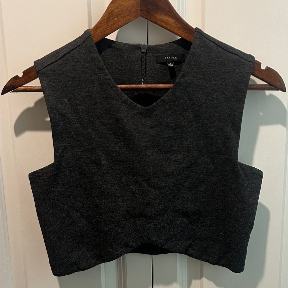 Aritzia Talula Cropped Sleeveless Manzanita Top Dark Grey Stretch Knit Small